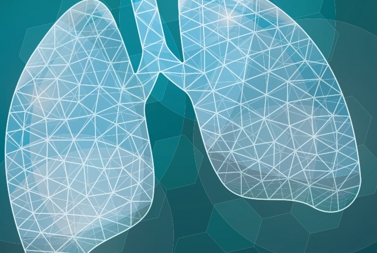 digital graphic of lungs